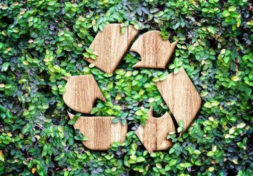 Mode Écologique : Adoptez un Style Responsable Sans Compromis